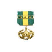 File:19 04 2022 Cerimônia do Dia do Exército, com a Imposição da Ordem do  Mérito Militar e da Medalha Exército Brasileiro (52016131374).jpg -  Wikipedia