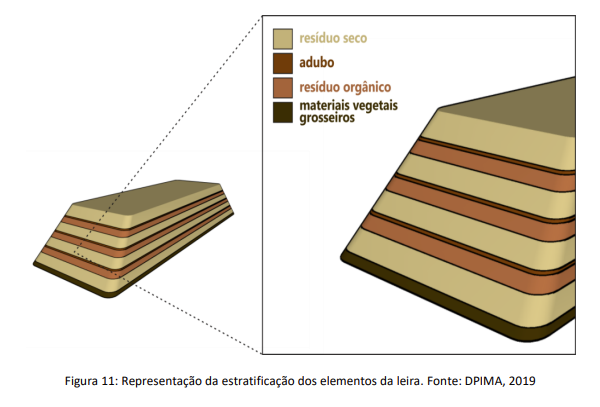 17 atividades interessantes para fazer ao ar livre! - Ciclo Orgânico