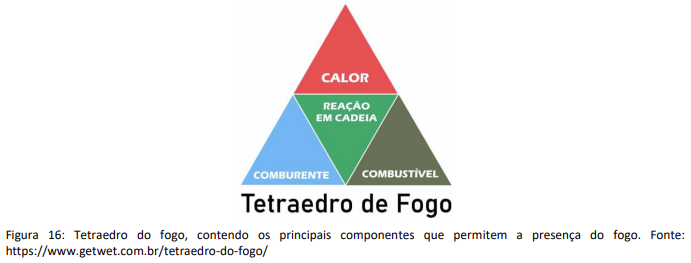 Vegetação formando cobertura sem influência das edificações. Fonte