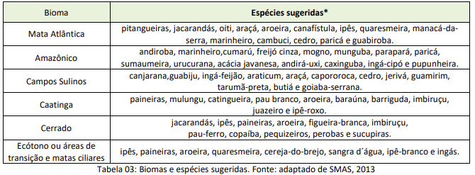 PORTARIA DEC/C Ex Nº 66 DE 13 DE MARÇO DE 2023